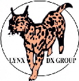 LINX DX Group